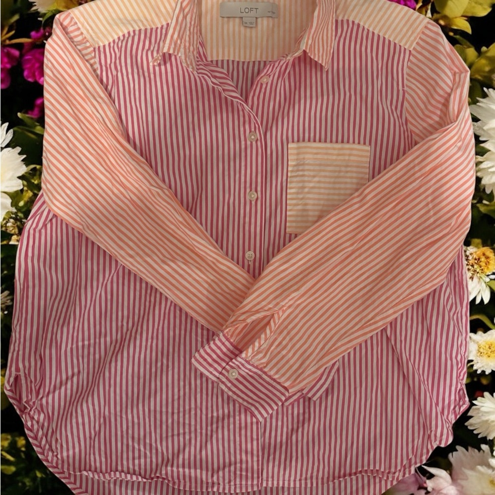 LOFT Multicolor Striped Collared Shirt - Picture 5 of 6
